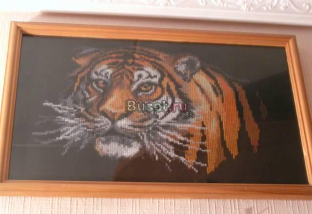 Потрясающая картина вышитая крестом. Тигр.Выполнен Москва