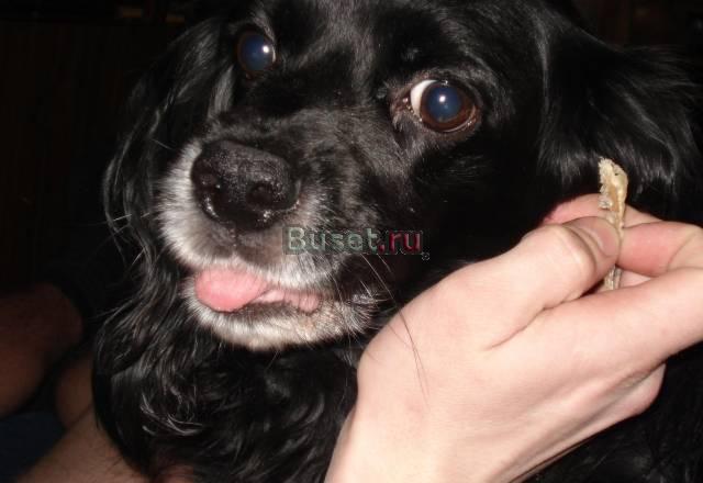 Для вязки Ульяновск
