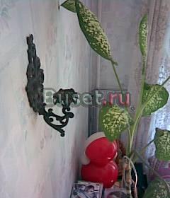 Подсвешник настенный Москва