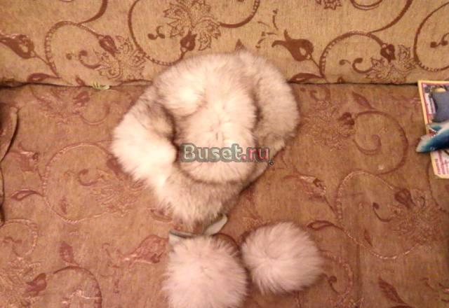 Шапки песец Москва