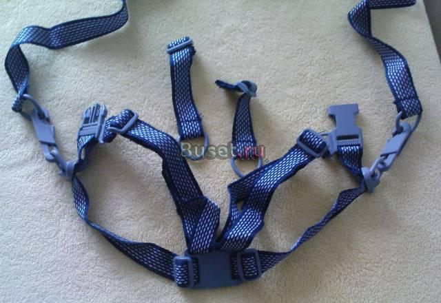 Вожжи Томск