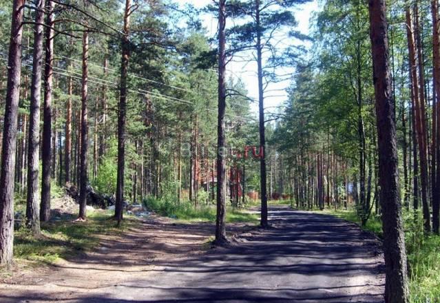 На берегу Вуоксы уч-к 1,2 Га под базу отдыха Санкт-Петербург