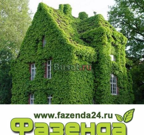 Дачи, участки Красноярска www.fazenda24.ru Красноярск