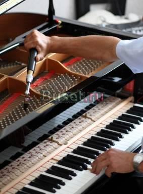 Настройка фортепиано (пианино и роялей) Москва