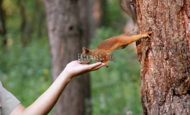 Путевки в Карагайский бор Челябинск