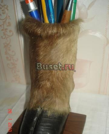 Копыто оленя - подставка для карандашей Санкт-Петербург