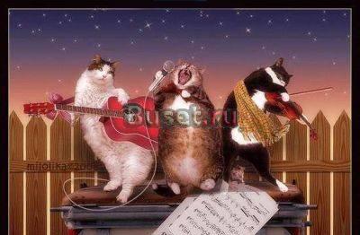 Проведение свадеб,юбилеев,корпаративов Пермь