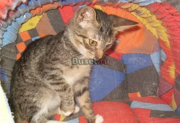 Компьютерный стол Икеа Москва