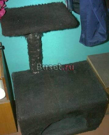 Домик для кошки Санкт-Петербург