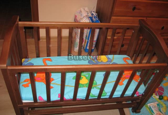 Колыбелька, итальянская, дерево Пушкино