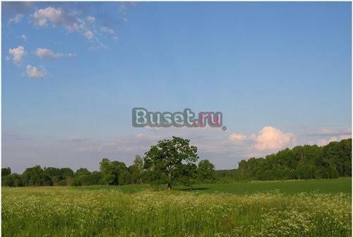 Продается земля в 55 км от Питера, собственник Санкт-Петербург