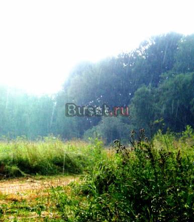 Продам от собственника участки вблизи озера, Лужск Санкт-Петербург