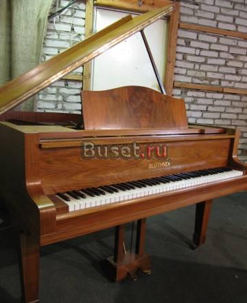 Рояль Bluthner, Aliquot Москва