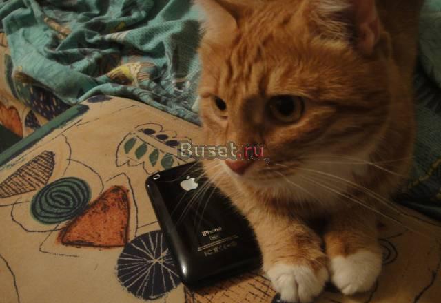 Iphone 3GS 16GB ростест Москва