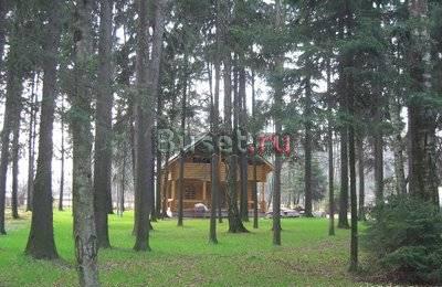 Продаю дом с лесным участком Дмитров