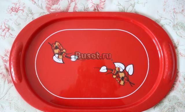 Великолепный и красивый поднос для посуды Москва