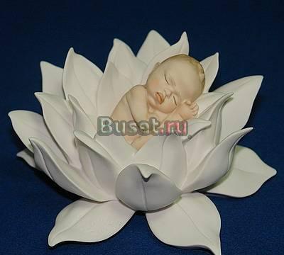 Младенец в цветке Москва