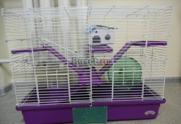 Продам клетку super PET Санкт-Петербург