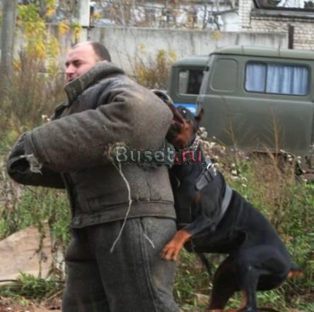 Профессиональная дрессировка собак в Твери Москва