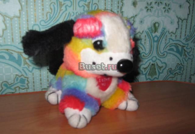 Собачка Санкт-Петербург