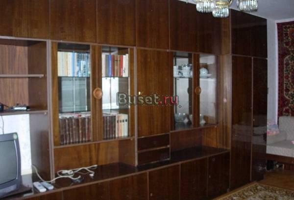 Стенка спутник Москва