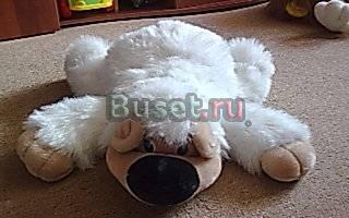 Новый медведь 50см Санкт-Петербург
