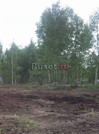 Участок 12 соток в СНТ керва Шатура