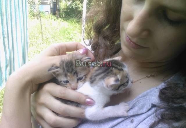 Отдам в заботливые руки Калининград