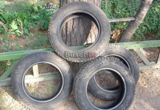 Pirelli 175/65 R14 (зима, шипы) Москва