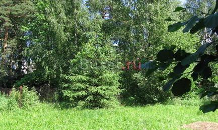 Продаю Санкт-Петербург