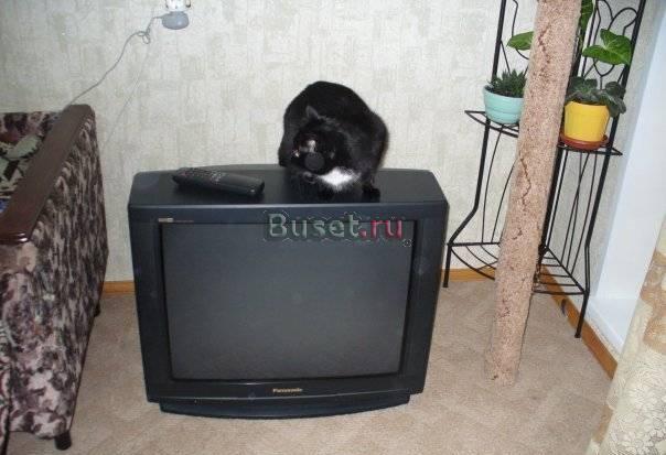 Телевизор Panasonic Тосно