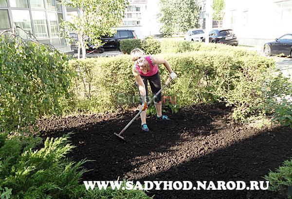 Озеленение, благоустройство, ландшафты Москва