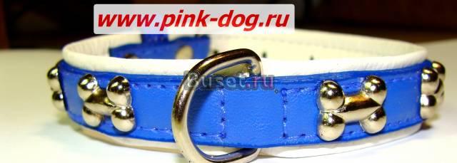 Декоративные ошейники, одежда для животных Санкт-Петербург