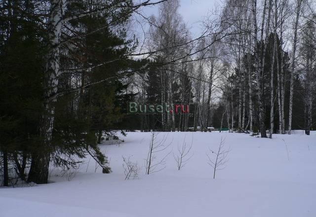Продам участок ижс. ст. Минино. 15 соток.Лес Красноярск