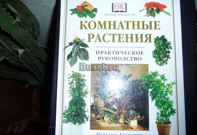 Комнатные растения Москва