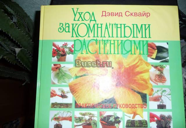 Уход за комнатными растениями Москва