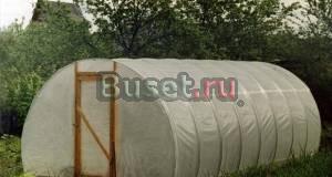 Теплица Томато Санкт-Петербург
