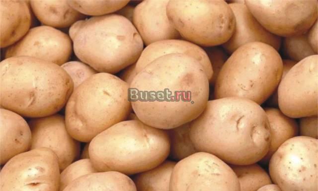 Картофель оптом из Воронежа Ростов-на-Дону