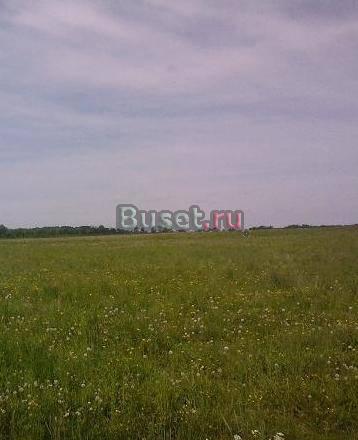 Участок у озера Ильмень д. Чавницы Великий Новгород