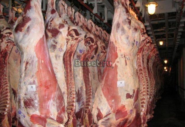 Свежее  мясо Москва