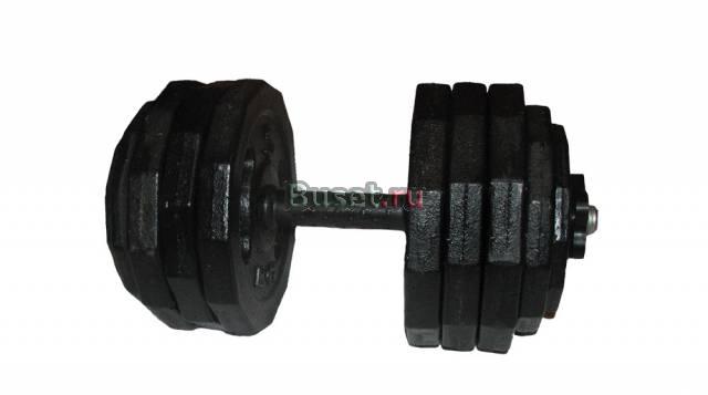 2 гантели по 39,5 кг Москва