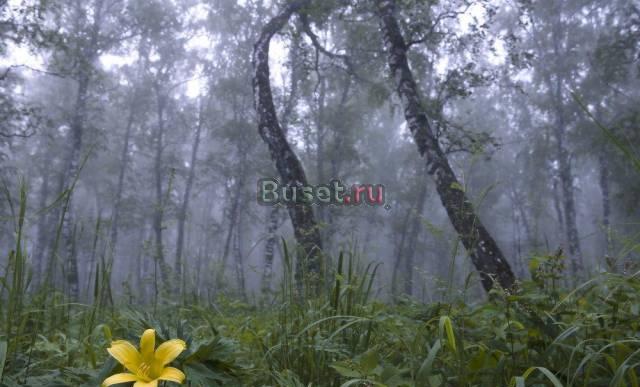Подписка на справочник фермера "вершки и корешки" Вологда