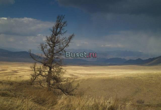 Подписка на справочник фермера "вершки и корешки" Дмитров