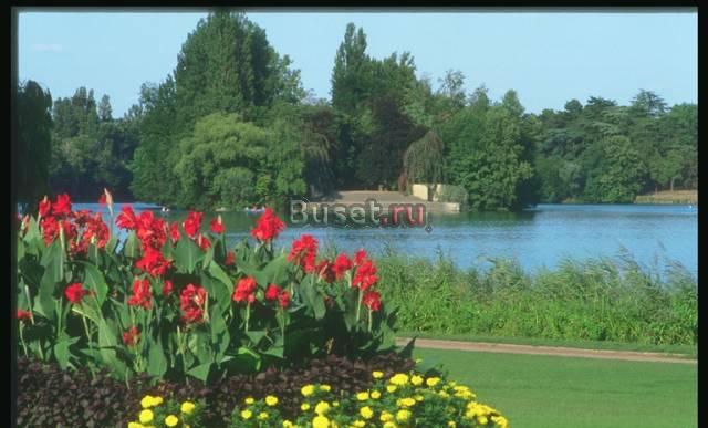 Подписка на справочник фермера "вершки и корешки" Воскресенск