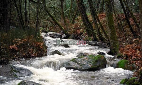 Подписка на справочник фермера "вершки и корешки" Клинцы