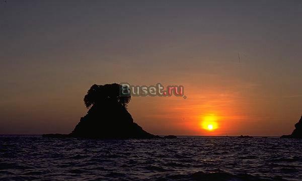 Подписка на справочник фермера "вершки и корешки" Кирово-Чепецк