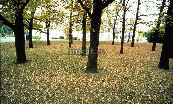 Подписка на справочник фермера "вершки и корешки" Сосногорск