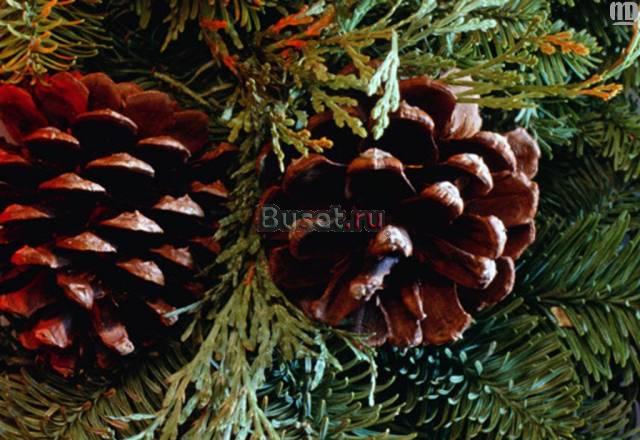 Подписка на справочник фермера "вершки и корешки" Красное-на-Волге