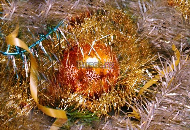 Подписка на справочник фермера "вершки и корешки" Солигалич