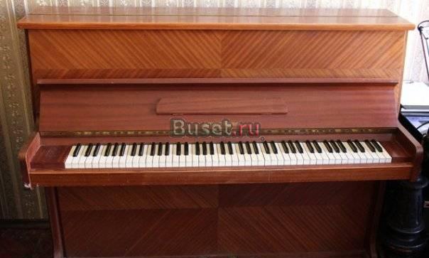 Alexander Herrmann Санкт-Петербург